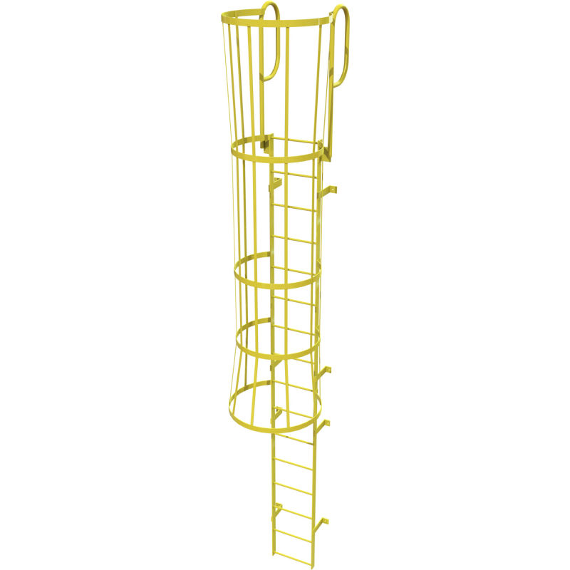 caged ladder